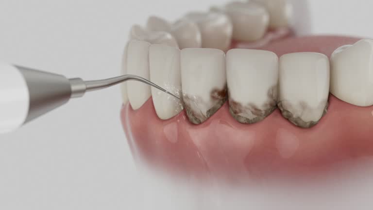 Reliable Dental contractor in Hollymead, VA by Dentist Open Now